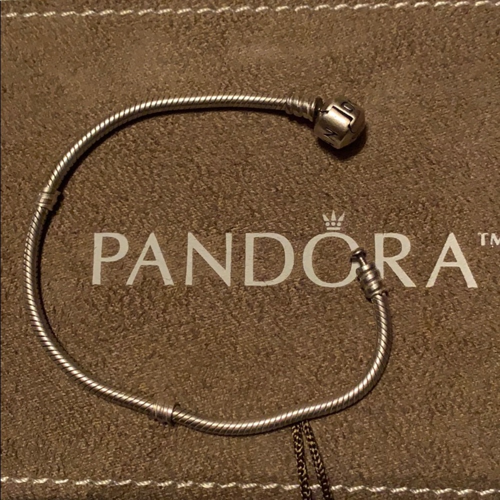 Sterling Silver Pandora bracelet